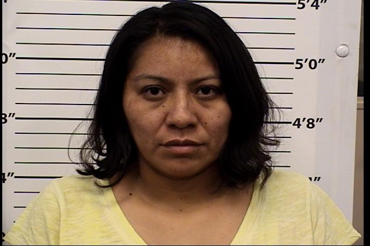 Vanessa  Ortiz Mugshot