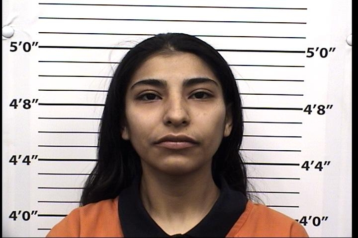 Vanessa Lynn Torres Mugshot