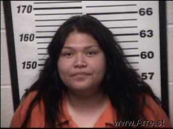 Vanessa  Alvarado Mugshot