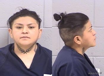 Vedoniz Tavia Begaye Mugshot