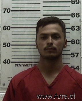 Wilmer  Morales Mugshot