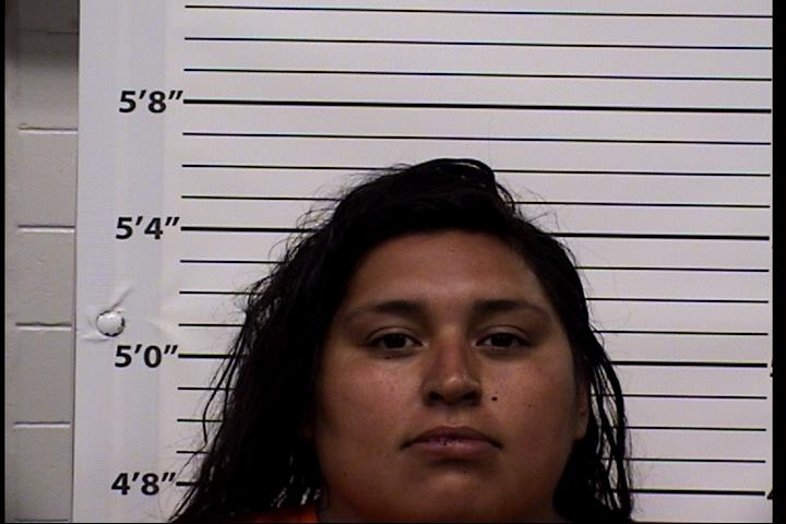 Yolanda Lee Martinez Mugshot