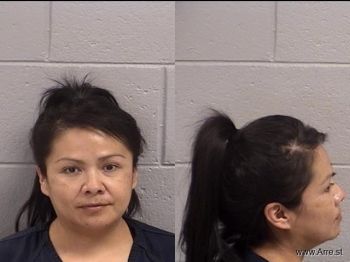 Yolanda  Yazzie Mugshot