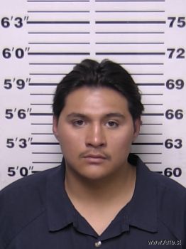 Zenen De Jesus Melchor-vargas Mugshot