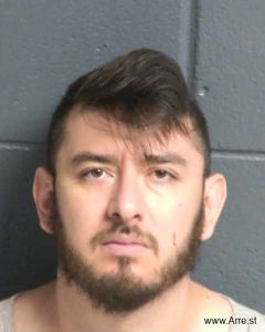 Andres Borrego Arrest Mugshot