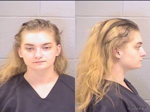 Alexis Lemons Arrest Mugshot