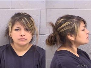 Alissa Harrison Arrest