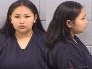 Ally Ortiz Arrest Mugshot