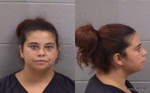 Amanda Barela Arrest Mugshot