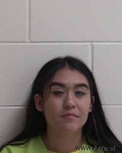 Amy Castro Arrest Mugshot