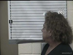 Ana Porcarelli Arrest Mugshot