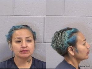 Andrea Haven Arrest Mugshot