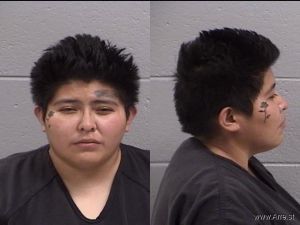 Anesija Murdock Arrest Mugshot