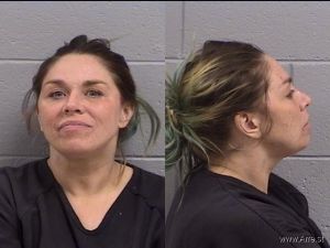 Audrey Lucero Arrest Mugshot