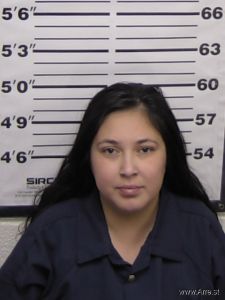 Bianca Gonzalez Arrest Mugshot