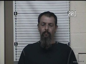 Brandon Collins Arrest Mugshot