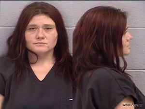 Brenda Mcmasters Arrest Mugshot