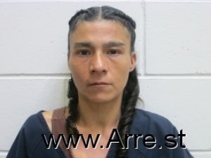 Brianna Silva Arrest Mugshot