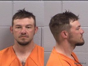 Bryan Brown Arrest Mugshot