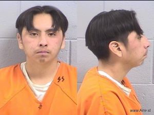 Bryan Holtsoi Arrest Mugshot