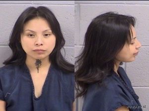 Camillus Bitney Arrest Mugshot