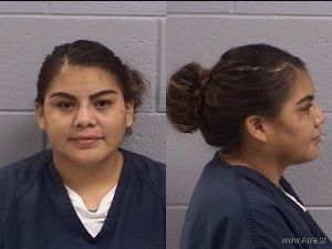 Carrilyn Begay Arrest Mugshot