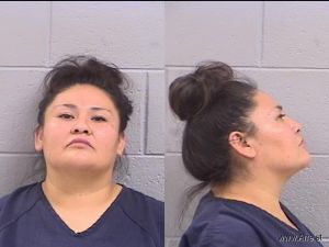 Charlene Lee Arrest Mugshot