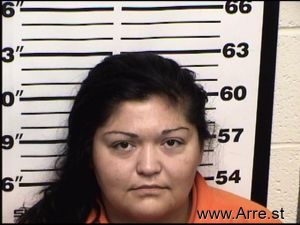 Christina Acosta Arrest Mugshot