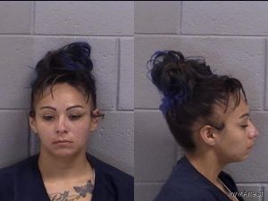 Connie Johnson Arrest Mugshot