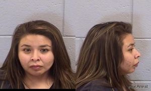 Crystal Guerito Arrest Mugshot