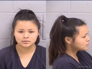 Danielle Anderson Arrest Mugshot