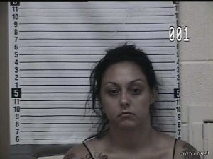 Danielle Chavez Arrest Mugshot