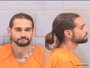 Danny Grace Arrest Mugshot