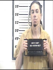 David Lizer Arrest Mugshot