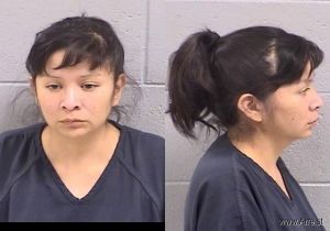 Desiree Mccabe Arrest Mugshot