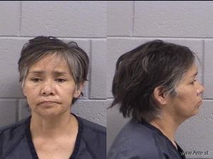 Donna Korn Arrest Mugshot