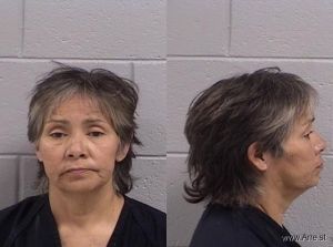 Donna Korn Arrest Mugshot