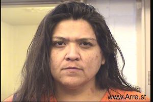 Erica Saenz Arrest Mugshot