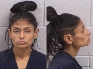 Elizabeth Gonzales Arrest Mugshot