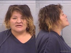 Erica Lee Arrest Mugshot