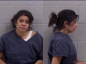 Erica Lopez Arrest Mugshot