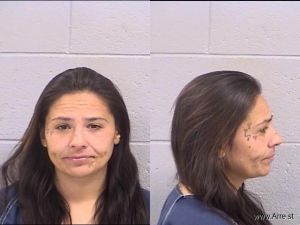 Erica Varela Arrest Mugshot