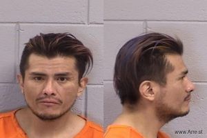 Hansen Ashley Arrest Mugshot