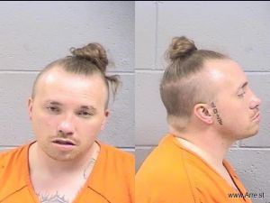 Hollis Turner Arrest Mugshot