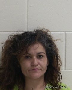 Iris Castro Arrest Mugshot