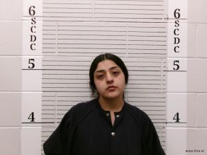 Jayda Martinez Arrest Mugshot