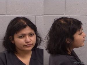 Jolene Joey Arrest Mugshot