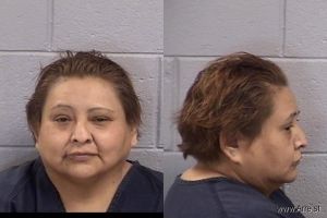 Jolene Teehee Arrest Mugshot