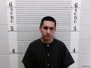 Jordan Torres Arrest