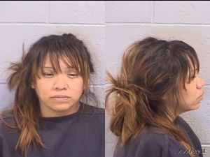 Joy Smith Arrest Mugshot